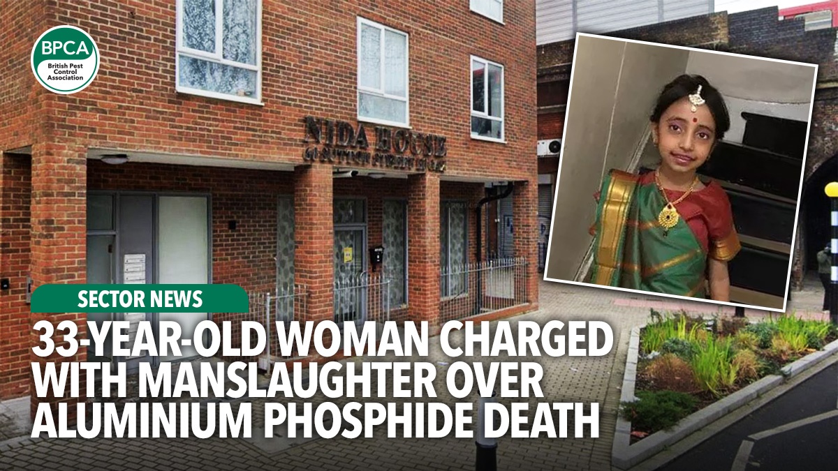33-year-old-woman-charged-with-manslaughter-hero 33-year-old-woman-charged-with-manslaughter-hero